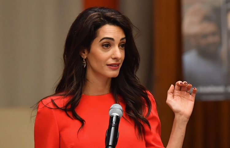 ރޮހިންޖާ މައްސަލައިގައި ރާއްޖޭގެ ވަކީލަކަށް އަމާލް