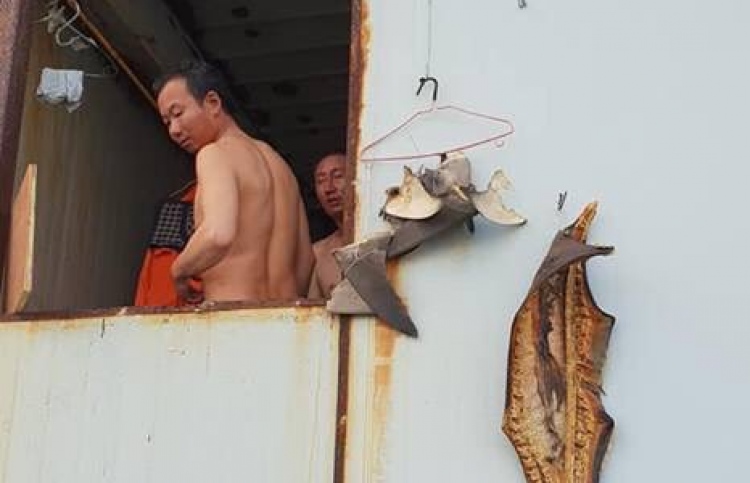 މިޔަރު ބޭނި ކަމަށް ބުނާ މައްސަލަ ސީސީސީސީން ބަލަނީ