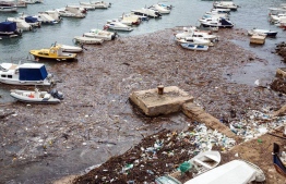 The trash washed ashore, in Dubrovnik, Croatia. PHOTO: TWITTER