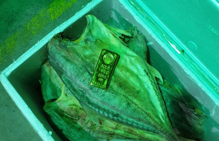 އަތުލައިގަތް ރަންގަނޑު ރާއްޖެ ގެނައީ ދުބާއީން