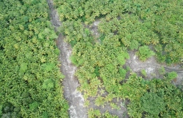 Aerial view of Lhaimagu, Shaviyani Atoll. PHOTO: LHAIMAGU ONLINE