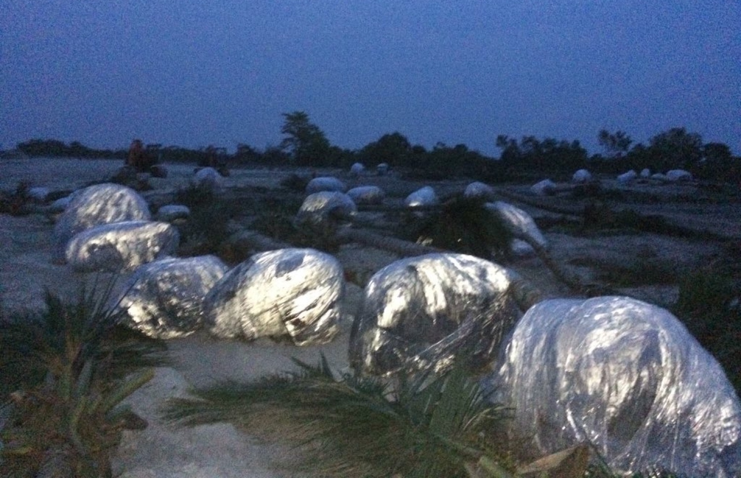 މާފަރުން ނަގާފައި ހުރި ރުއްތަކެއް ޕެކްކޮށްފައި