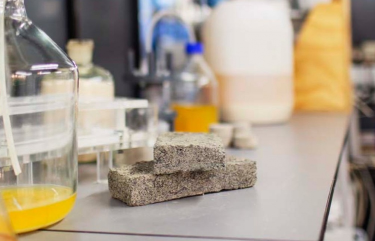 ކުޑަކަމުދާ ނަޖިހުން ގައު އުފައްދަނީ