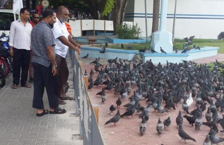 ޖަލުގައި އިމްރާންގެ ބައިވެރިން: 19 ކޮތަރު!