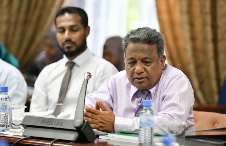 މަޖިލީހުގައި މައިނޯރިޓީ ލީޑަރަކަށް ސަލީމް