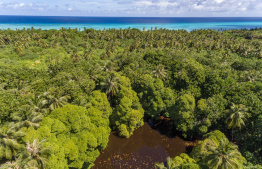 ލ. ގަމުގެ ބޮޑު ފެންގަނޑު ސަރަހައްދު: ފަސް މިލިއަން ގަސް އިންދުމުގެ ޕްރޮގްރާމްގެ ދަށުން ގަމުގައި ދެ ނާސަރީ ހަދަން ސަރުކާރުން ވަނީ ނިންމާފައި --- ފޮޓޯ/ދި އެޑިޝަން