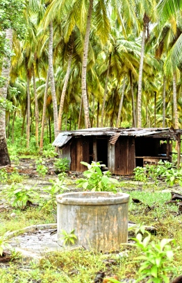 Abandoned huts and wells in the island of Baresdhoo in Laamu Atoll. PHOTO: HAWWA AMANY ABDULLA / THE EDITION