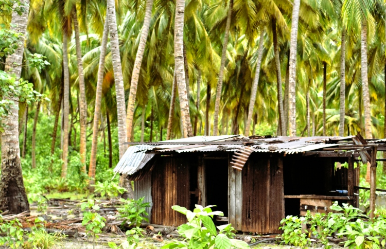 ބަރެސްދޫގެ މަސައްކަތް ހުއްޓުނީ ފިނޭންސާ ހެދި!