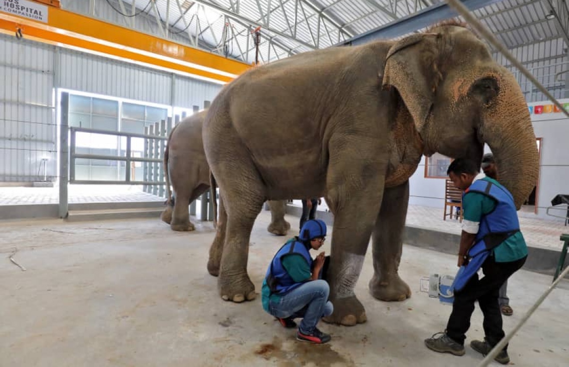 އެތަށް ހާއްސަ ހޮސްޕިޓަލެއް އިންޑިއާގައި ހުޅުވައިފި