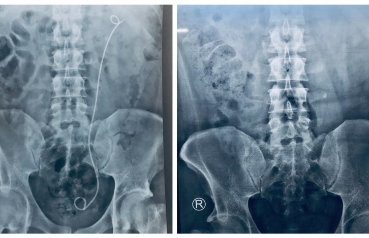 އަދީބު ގެއަށް ބަދަލުކުރުމަށް ވަނީ ލަފާދީފައި: އާއިލާ