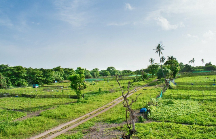 ފައިނުގައި އެއާޕޯޓު ނާޅަން ސަރުކާރުން ނިންމައިފި