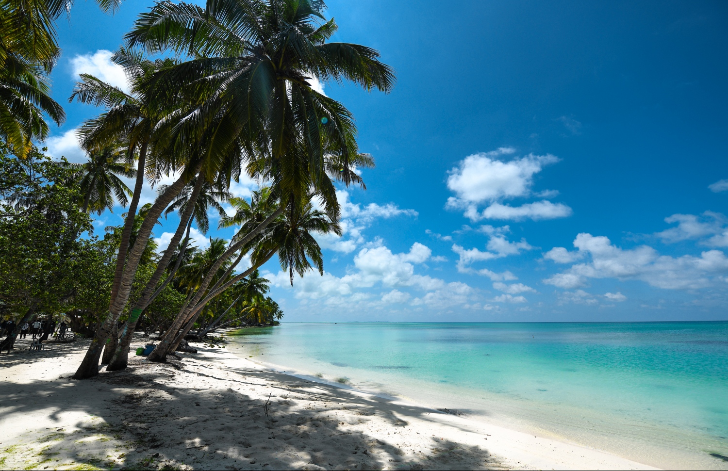 ކ. ދިއްފުށި: ގާތްގަނޑަކަށް 1300 މީހުންގެ އާބާދީއެއް އޮތް މި ރަށަކީ ގެސްޓްހައުސްގެ ވިޔަފާރި ބާރުމިނެއްގައި ތަރައްގީވަމުން އަންނަ ރަށެއް .---ފައިލް ފޮޓޯ/މިހާރު