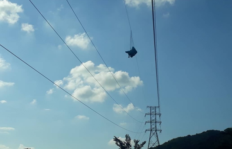 ޕެރަގްލައިޑް ހަދަމުން ދިޔަ މީހާ ކަރަންޓް ކޭބަލްގައި އަޅައިގެންފައި.