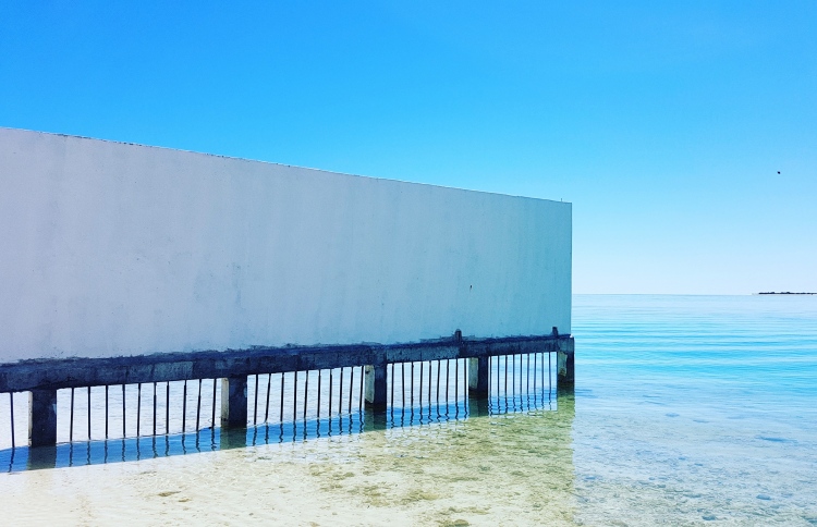 ސިޓީ ހޮޓާ: ލޯކަލް ޓޫރިޒަމްތަ؟ ނޫނީ ބިން ފޭރުންތަ؟