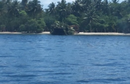 A lot of coconut palms gathered on a land craft from Vaavu atoll island Hulhidhoo. PHOTO: SHIFAG HUSSAIN/TWITTER