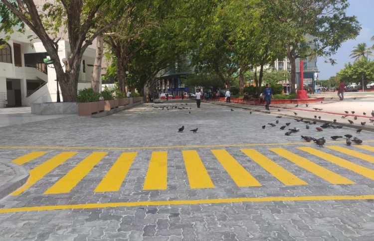 އަމީރު އަހުމަދު މަގު މިއަދު ހުޅުވާލަނީ