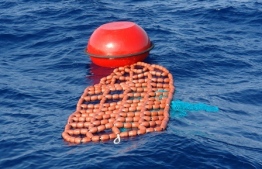 A Fish Aggregating Device. PHOTO: MINISTRY OF FISHERIES AND AGRICULTURE