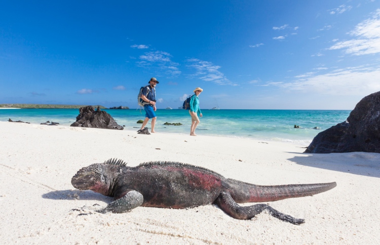 ޖަނަވާރުންނަށް އުނދަގޫވާތީ ހަވާއެރުމުން މަނާ!