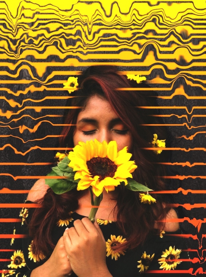 ސައިފްގެ ޑިޖިޓަލް އާޓް މަސައްކަތެއް / މޮޑެލް: ޒިފާ