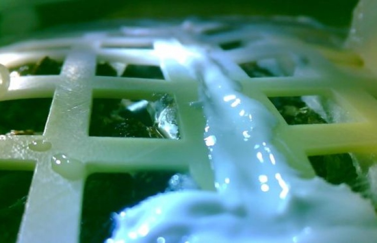 ޗައިނާ އިން ހަނދުގައި އިންދި އޮށުން ގަސް ފަޅައިފި