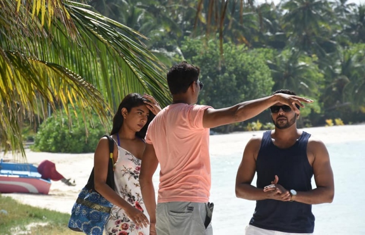 ދިވެހި ސިނަމާގެ ސުރުހީތައް