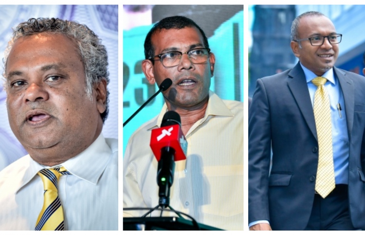 އަނަސް ފިޔަވައި އެހެން ބޭފުޅުންނަށް ބޮޑު ކާމިޔާބެއް