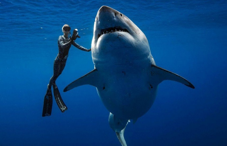 އެންމެ ބޮޑު މިޔަރާ އެކު ވަގުތުކޮޅެއް