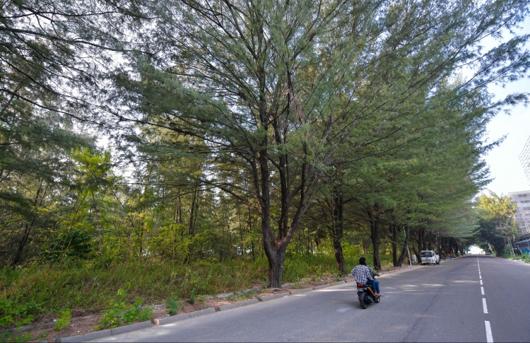 މޫނަށް ސްޕްރޭ ޖަހައި ފައިސާތަކެއް ފޭރިގެންފި