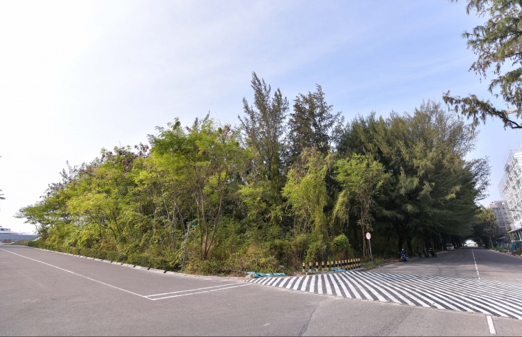 އެޗްޑީސީ އަށް 39 މިލިއަން ރުފިޔާ ނުލިބޭ!