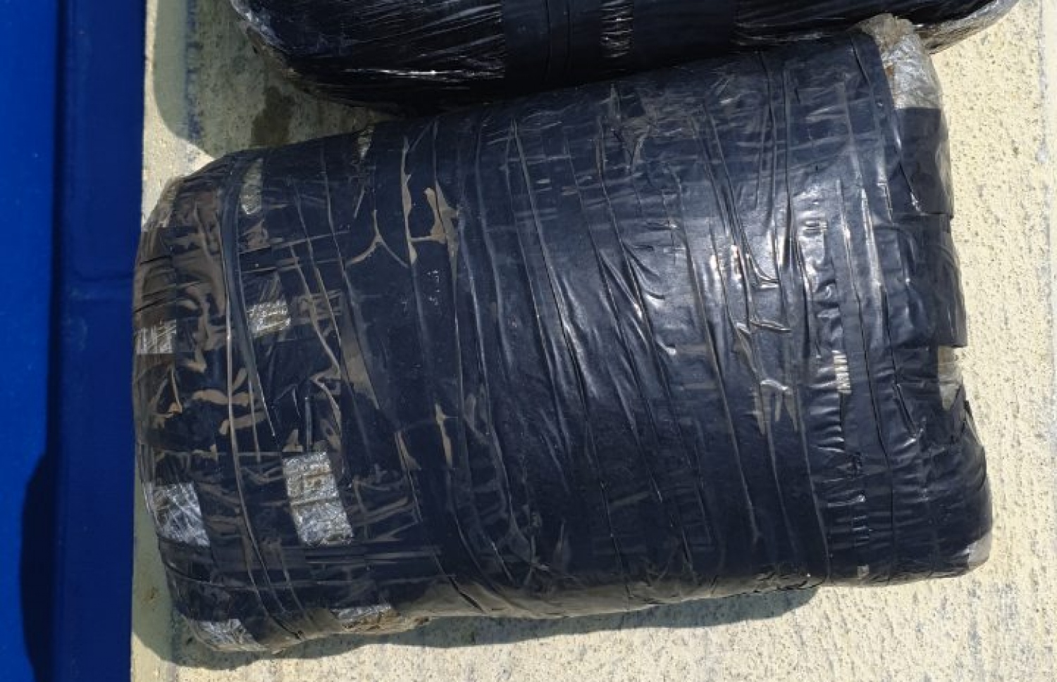 ތުޅާދޫ މޫދުން ނެގި މަސްތުވާތަކެތި: މި ތަކެތި ވަނީ ފުލުހުންނާ ހަވާލުކޮށްފައި -- ފޮޓޯ / ޕޮލިސް