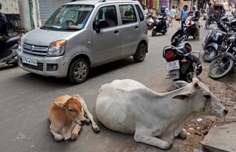 ގެރީގެ އުނދަގުލުން ސަލާމަތްވާން ގެރީގައި ބާކޯޑު ޖަހަނީ