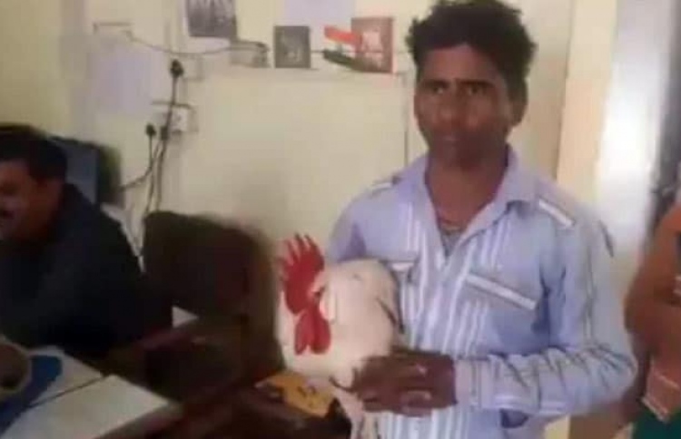 ހަމަލާދޭތީ އިންޑިއާގައި ހާލެއް ޕޮލިހަށް ހާޒިރުކޮށްފި