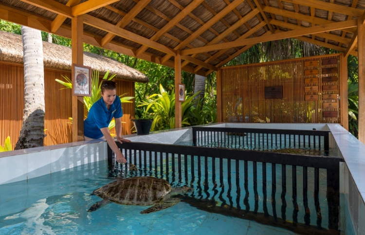 ލަނޑާ ގިރާވަރުން ދައްކަމުން އަންނަ ނަމޫނާ