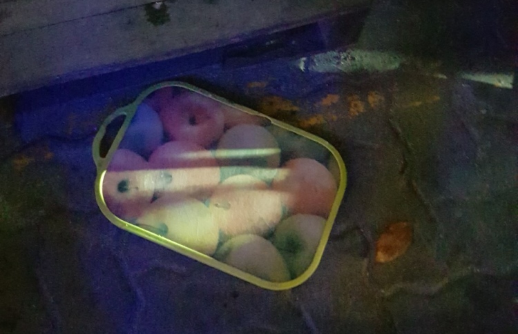 އިމާރާތަކުން ވެއްޓުނު ކަޓިންބޯޑަކުން ޖެހި އަނިޔާވެއްޖެ