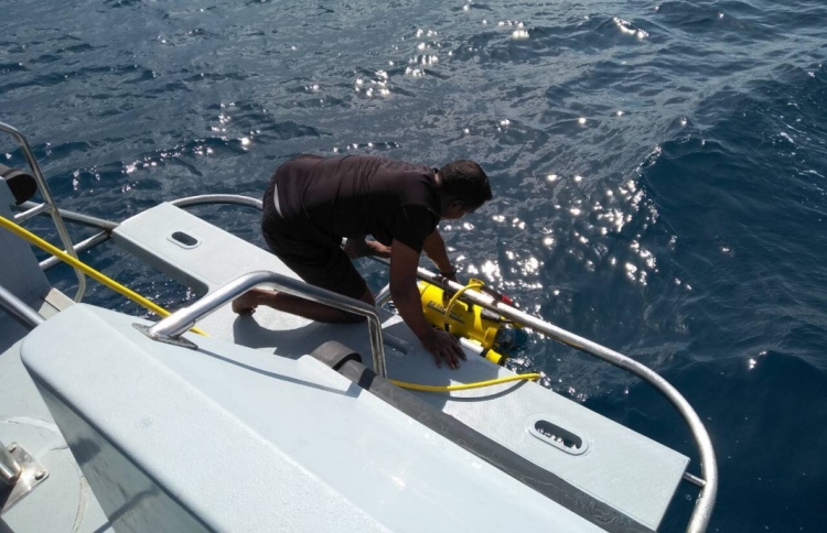 ޝިމާ ހޯދަން ޑައިވިން ރޮބޮޓް ބޭނުން ކުރަން ފަށައިފި