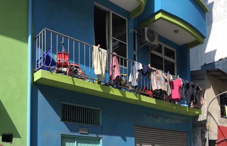 މަތިން ވެއްޓުނު ވީލްޗެއާ ފުރޮޅަކުން ޖެހި އަނިޔާވެއްޖެ