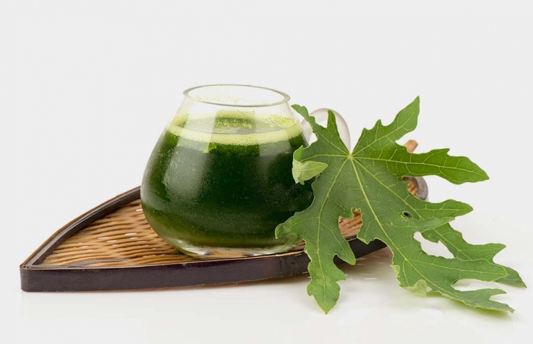 ފަޅޯފަތު ޖޫސް ތަޖުރިބާކޮށްލަމާ!