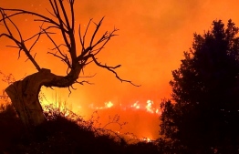This handout picture obtained on February 25, 2019 from the local fire department information service "SDIS Haute Corse" shows the wild fire near the village of Sampolo on February 24, 2019, as firefighters battled a series of forest fires on the French Mediterranean island of Corsica that were being driven by strong winds acrosshard-to-access mountain ranges. (Photo by Jean FERRARI / SDIS Haute Corse / AFP) / 