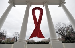 (FILES) This file photo taken on December 1, 2010 shows an AIDS symbol displayed on the North Lawn of the White House in Washington, DC during World AIDS Day. - A second person is in sustained remission from HIV-1, the virus that causes AIDS, after ceasing treatment and is likely cured, researchers were set to announce at a medical conference on March 5, 2019. (Photo by Jewel SAMAD / AFP)