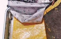 Hashish oil seized from a Maldivian in Kochin Airport. PHOTO: THE NEW INDIAN EXPRESS