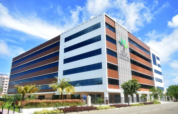 ޓްރީ ޓޮޕުން އަހަރީ ދުވަހަށް ހާއްސަ ހިދުމަތްތަކެއް