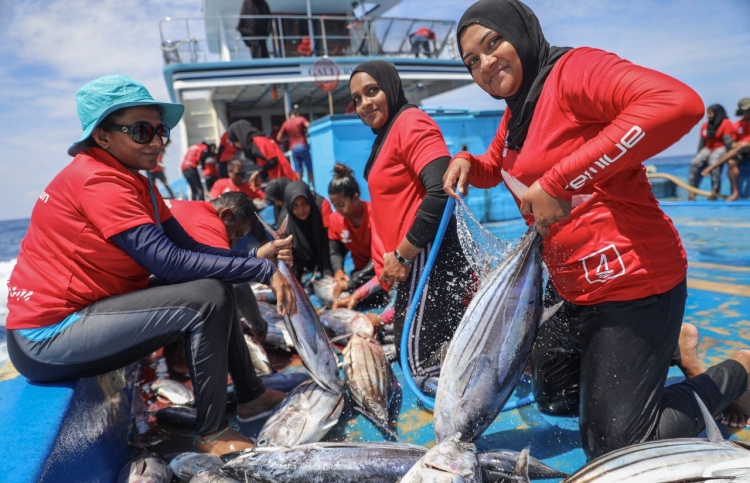 ބީއެމްއެލްގެ އަންހެން މުވައްޒަފުން މަހަށް