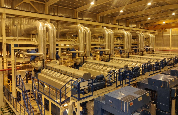 ސްޓެލްކޯއަށް މަހަކު 2 މިލިއަން ގެއްލުންވޭ: ރިޕޯޓް