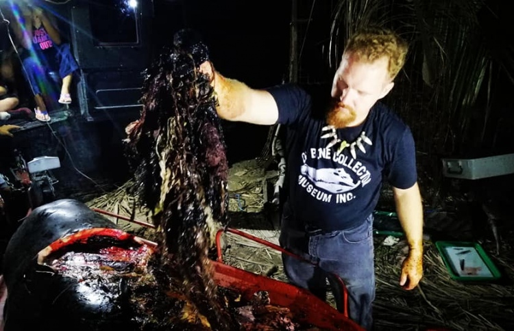 ބޮޑުމަހެއްގެ ބަނޑުން 40 ކިލޯގެ ޕްލާސްޓިކް