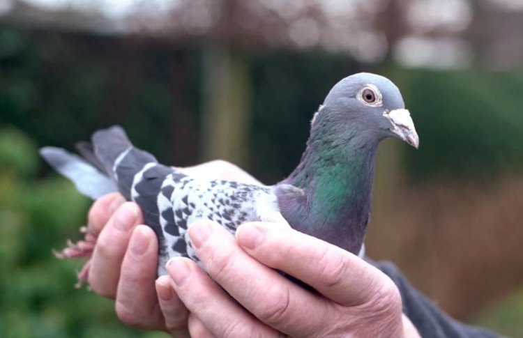 ކޮތަރެއް 1.4 މިލިއަން ޑޮލަރަށް ވިއްކާލައިފި