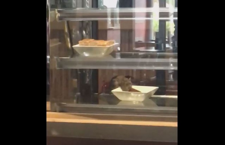 މީދަލާއި ފުޅަ ފެނިގެން "ދަ ޑެކް" ބަންދުކޮށްފި