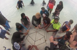 During the workshop held at Ukulhas, Alif Alif Atoll. PHOTO: CORAL DOCTORS