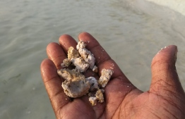 Pieces of alleged fecal matter from the waters of Rasfannu beach. PHOTO: HUSSAIN WAHEED / MIHAARU