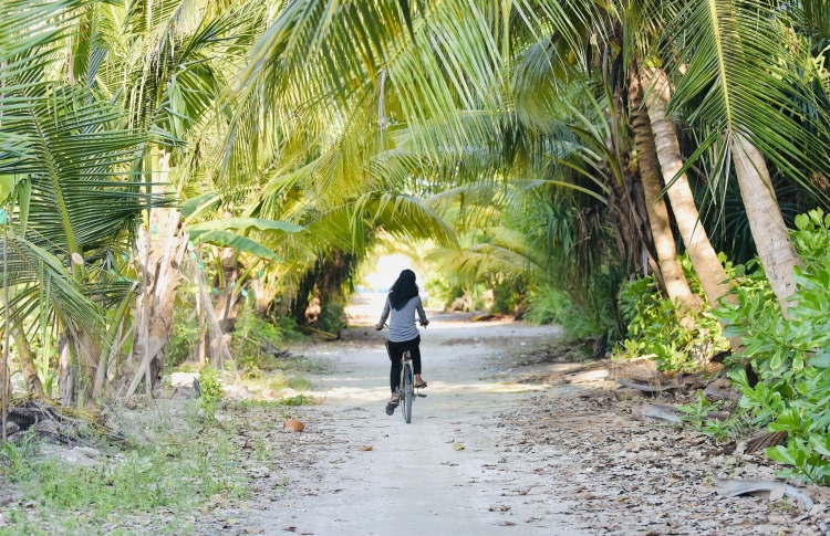 ފަރުވާ ނުދެވި ބަލި އިތުރަށް ބޮޑުވުމުގެ ބިރު!