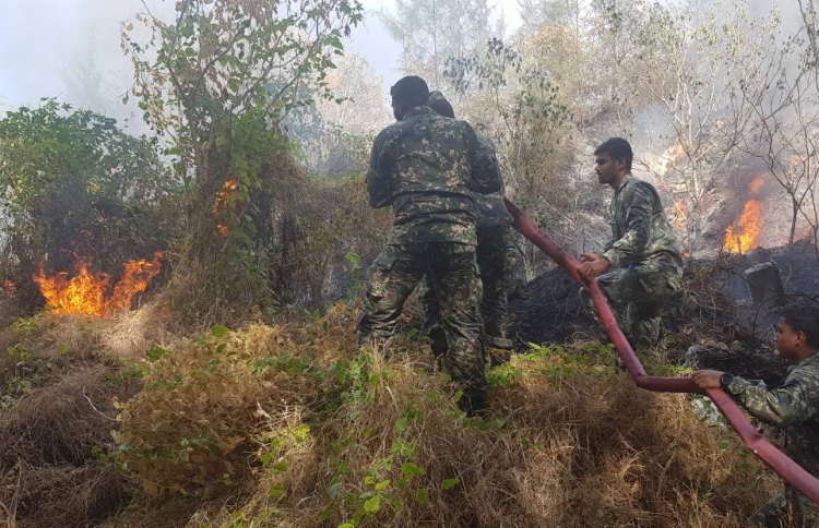 ހުޅުމާލޭ ހުސް ބިމުގެ ބޮޑު ބައެއް އަނދައިފި